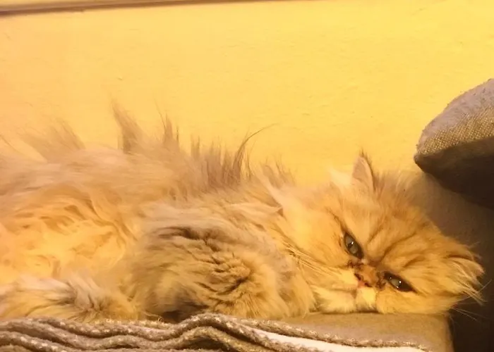 Apartmán Haus Asslaber