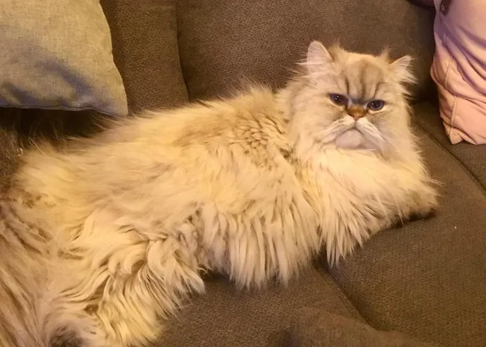 Haus Asslaber Hochfilzen