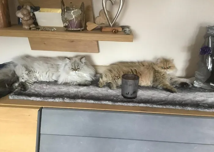 Haus Asslaber Apartamento Hochfilzen