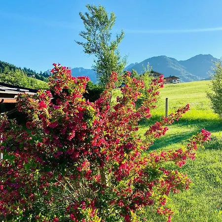 Haus Asslaber Apartman *