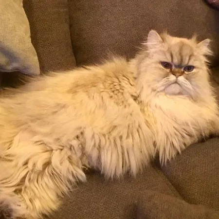 Haus Asslaber Hochfilzen